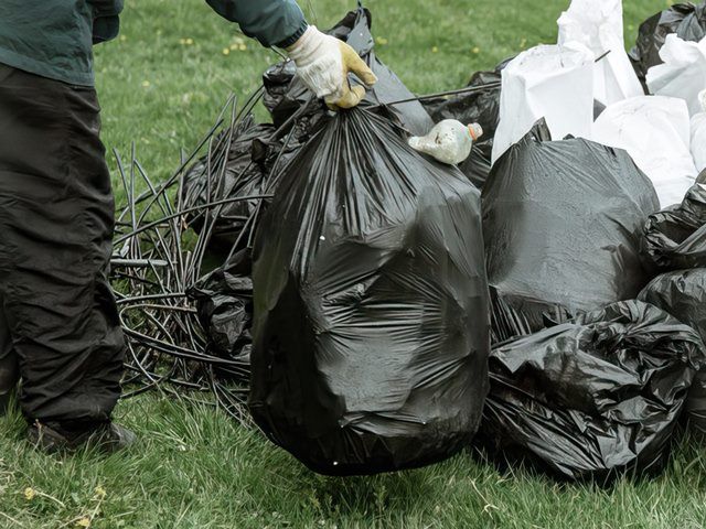 Domestic Waste Removal Services in Norwich
