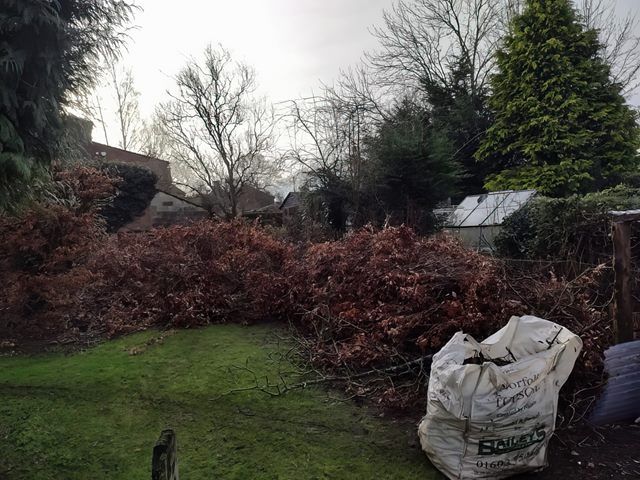 Garden Clearance Before Clean